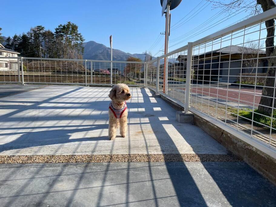 Mt. Fuji Kokoワンちゃんokの新築貸別荘 Fujikawaguchiko Ngoại thất bức ảnh