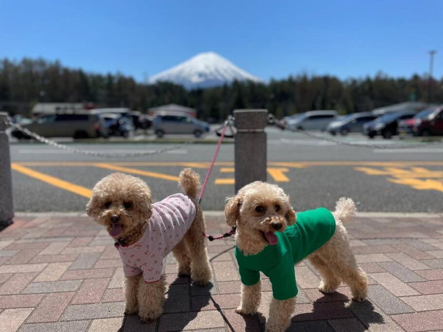 Mt. Fuji Kokoワンちゃんokの新築貸別荘 Fujikawaguchiko Ngoại thất bức ảnh